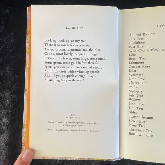 Flower Fairies of the Trees - 1974 Vintage Fairy Book - Picture 4 of 11